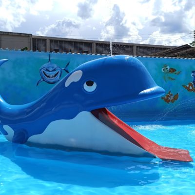 BALEIA ESCORREGA CAPA